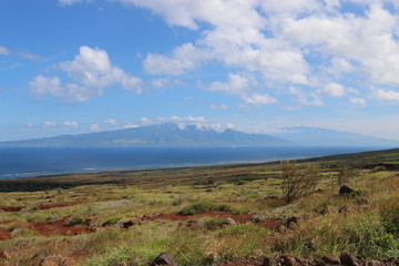 Maui View