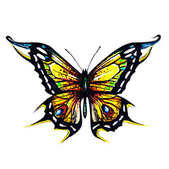 beautiful butterfly,watercolor, isolated on a white