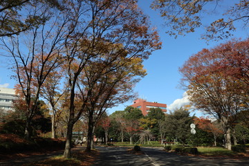 筑波大学　筑波キャンパス