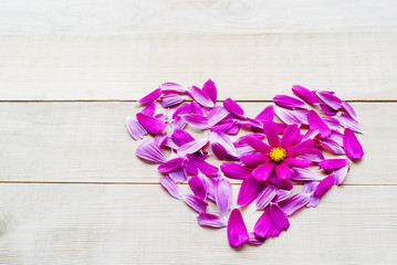 top view of flower heart shape made of petals and single opening flower head of cosmos plant flat lay on wooden background