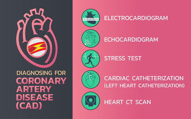 Diagnosing of coronary artery disease (CAD) icon design, infographic health, medical infographic. Vector illustration