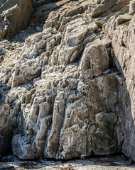 Jagged Rocks on Maine Coast