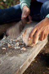 Coconut Husk