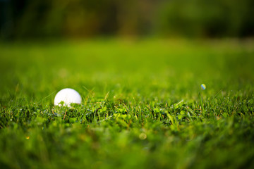 golf ball on sports golf course close-up, on blurred background