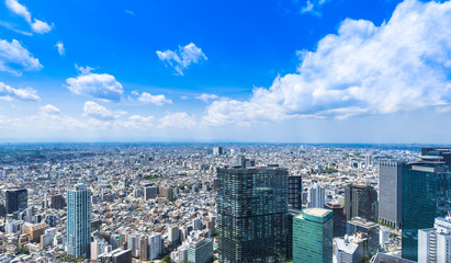 住宅街が広がる東京都市風景