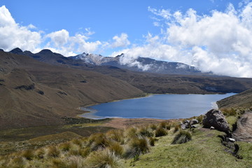 Laguna 
