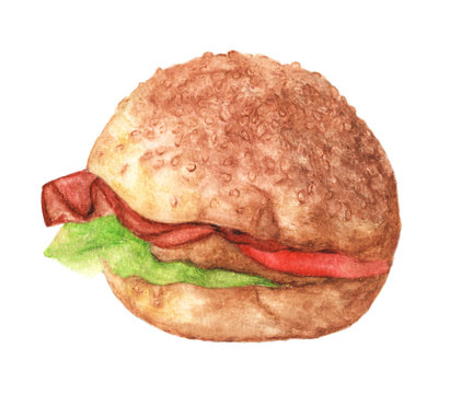 Hand Drawn Hamburger, watercolor Sketch, Illustration For Food Design.