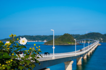 Fototapeta premium 角島大橋