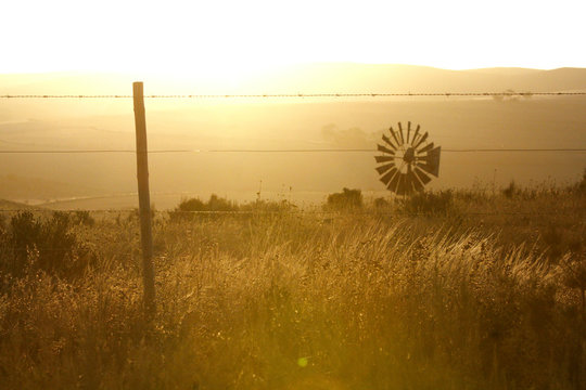 Golden farmland, South Africa