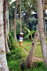 Indonesian woman returning from the fields