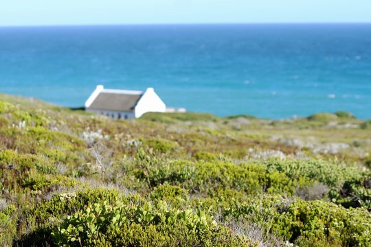Idyllic Beach House