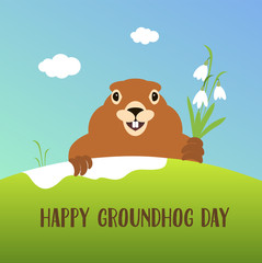 Obraz na płótnie Canvas Happy groundhog day card. Holiday winter and spring banner rodent february, spring flower snowdrop clouds woodchuck, cute shadow cartoon vector illustration, hole fun. Character animal mammal