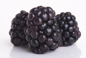blackberry isolated on a white background