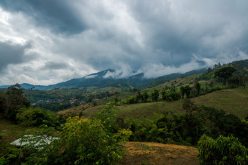 Vegetable Agriculture (terrace farming) in the village hill of forest mountain with cloudy sky, North of Thailand