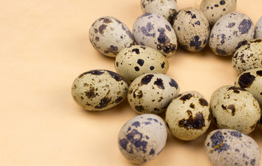 Quail eggs on pastel yellow surface. Close up macro. Easter holiday background.