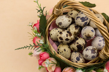 Quail eggs in wood basket on pastel yellow surface. Close up macro. Easter holiday background.