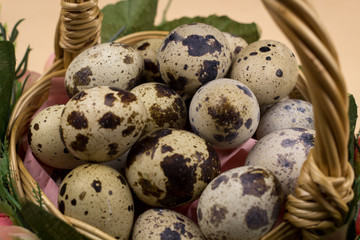 Quail eggs in wood basket on pastel yellow surface. Close up macro. Easter holiday background.