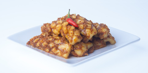 Squid Curry on blackground