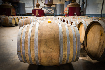 Wine barrels in the cellar of the winery