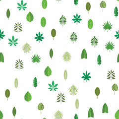 Seamless pattern with green tropical leaves. Floral background, vector illustration on white background.