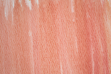 red and white  texture painted background
