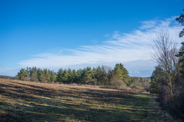 Landschaft im Frühjahr