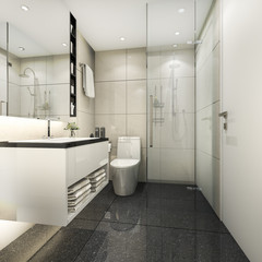 3d rendering modern minimal toilet and shower