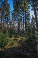 Landschaft im Frühjahr