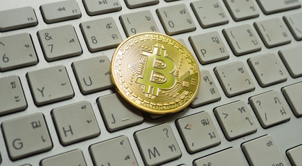 Bitcoin. Gold Bitcoin(new virtual money)