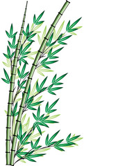 Fototapeta na wymiar bamboo design