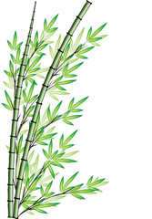 bamboo design
