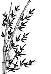 Obraz premium bamboo design