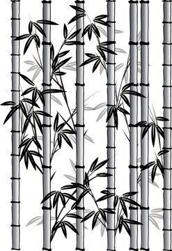bamboo drawing background © wenpei