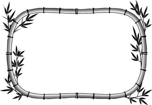 bamboo drawing background