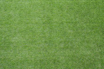 Fototapeta premium grass field background. green grass. green background
