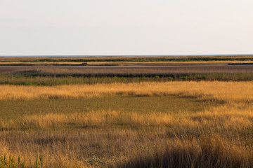 View on the Sivash lake, Ukraine