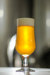 Light beer at the brewery