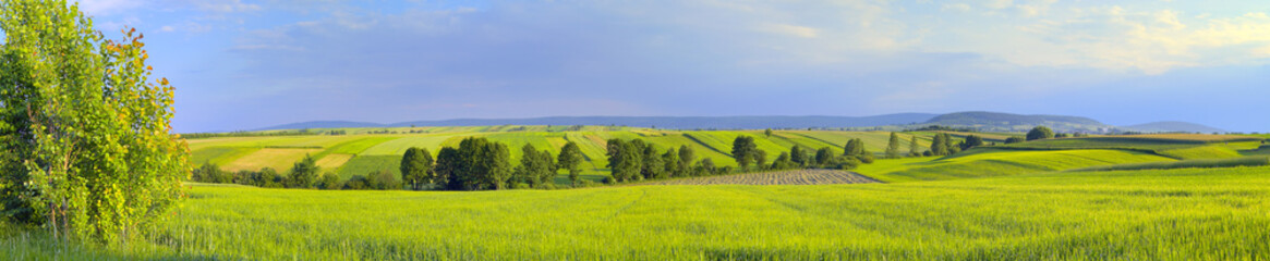 Panoramic landscape with green fields and trees. Europe, Poland, Holy Cross Mountains.
