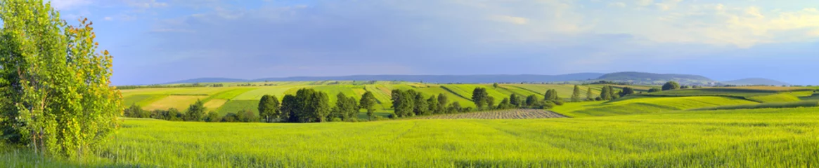 Photo sur Plexiglas Campagne Paysage panoramique avec champs verts et arbres. Europe, Pologne, montagnes Sainte-Croix.