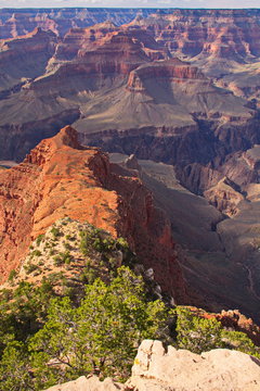 Grand Canyon in Arizona in the USA
