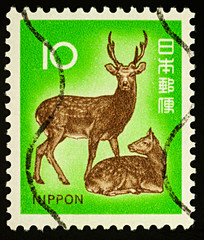 Japanese deer on postage stamp