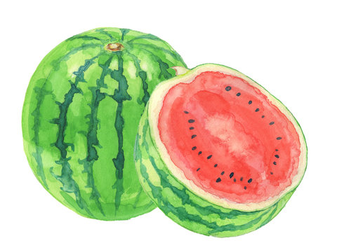 スイカ Images Browse 11 077 Stock Photos Vectors And Video Adobe Stock