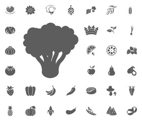Broccoli icon. Fruit and Vegetables vector illustration icon set. food and plant symbols.