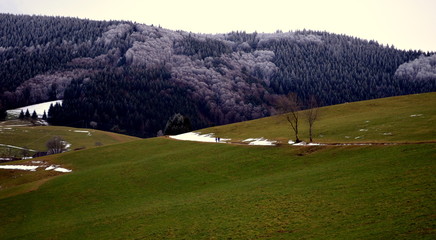 Fototapeta na wymiar Winterlandschaft auf dem Geyersnest