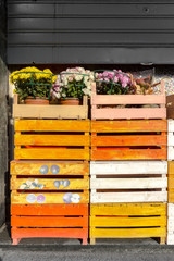 Colored wooden crates with flowers on top