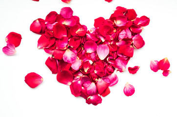 rose petals heart for valentine's day isolated on white