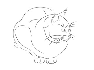 Cat silhouette, vector illustration. Simple sketch of cat sitting and looking to the side, front view. 