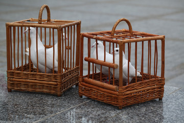 Obraz na płótnie Canvas white doves in a wooden cage