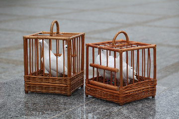 white doves in a wooden cage