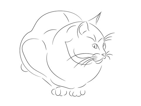 Cat silhouette, vector illustration. Simple sketch of cat sitting and looking to the side, front view. 
